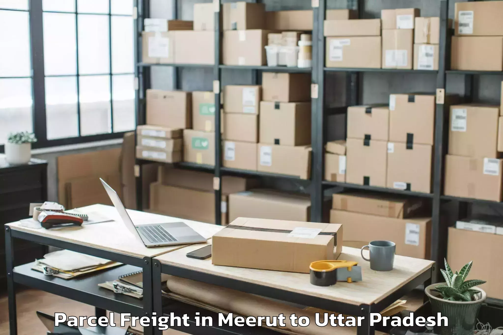 Top Meerut to Etmadpur Parcel Freight Available